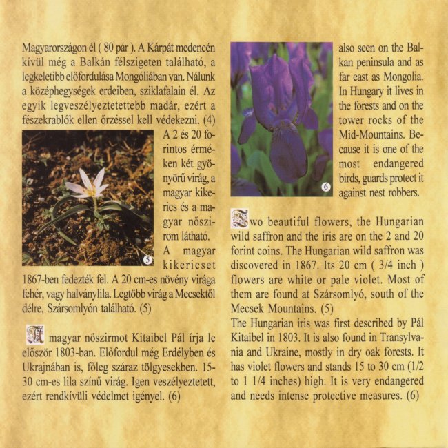 1995. vi extra verdefnyes BU (Brilliant Uncirculated) forgalmi sor
