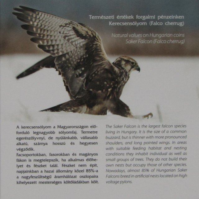 2020. vi extra verdefnyes BU (Brilliant Uncirculated) forgalmi sor