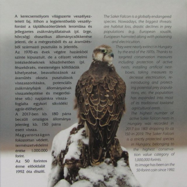 2020. vi extra verdefnyes BU (Brilliant Uncirculated) forgalmi sor